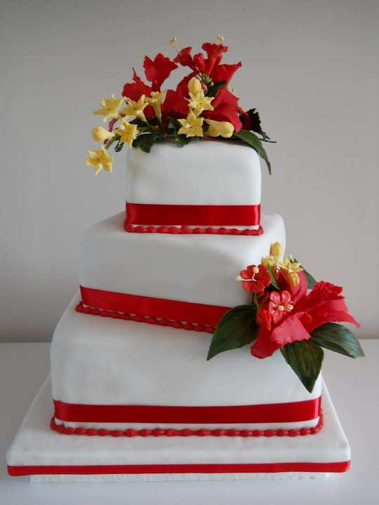 novios 247